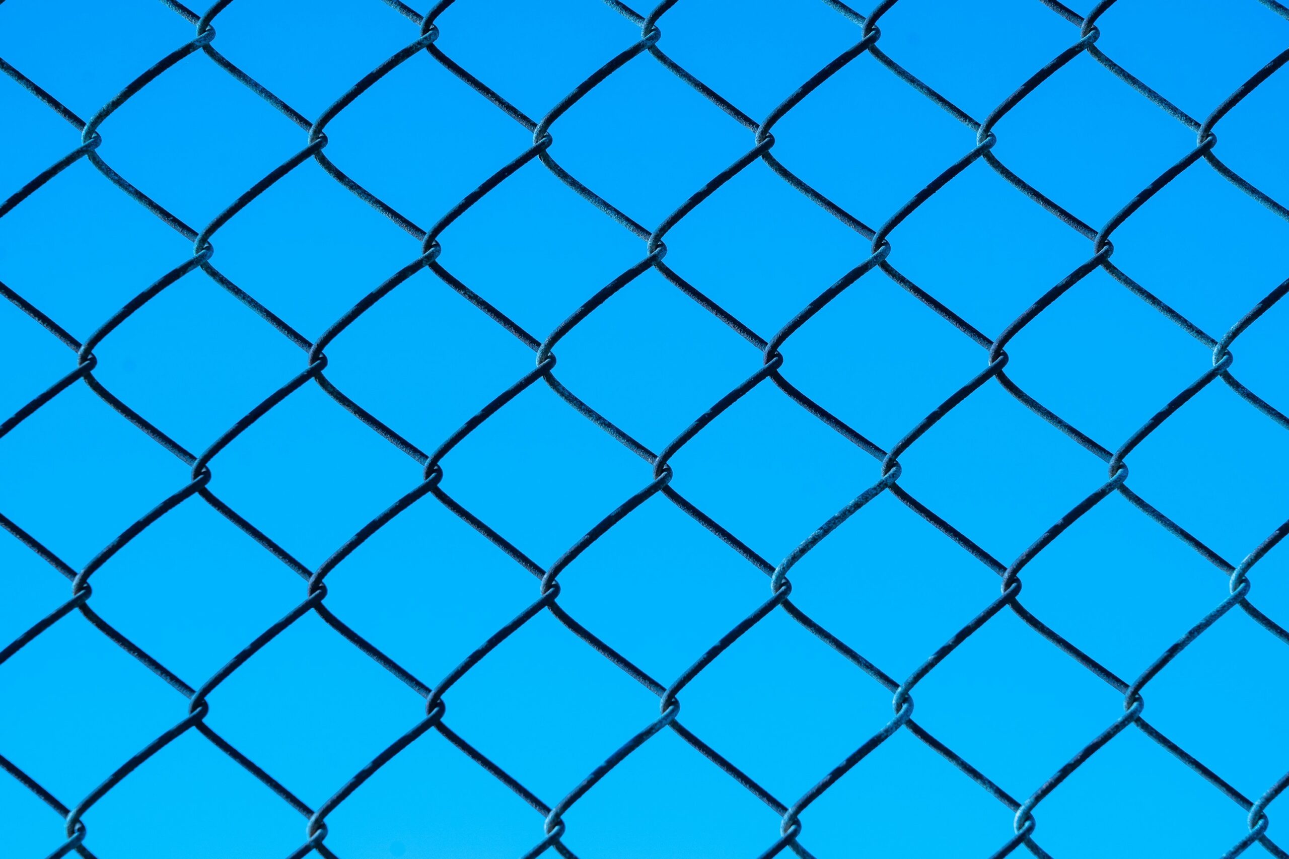 Image of a metal grid fence in close up.